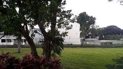 Serangoon Garden Estate (D19), Terrace #574089411